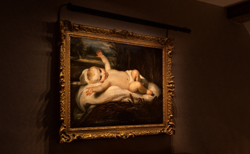 Joshua Reynolds painting of the Infant Moses lit with an ArtView LED picture light